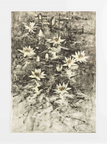 John Alexander Light Yellow Lilies with Black Water, 2012 monotype from steel and aluminum plates with hand-coloring paper: 35 3/4 x 24 3/4 inches frame: 43 1/2 x 33 inches signed bottom right front (JoA-164)