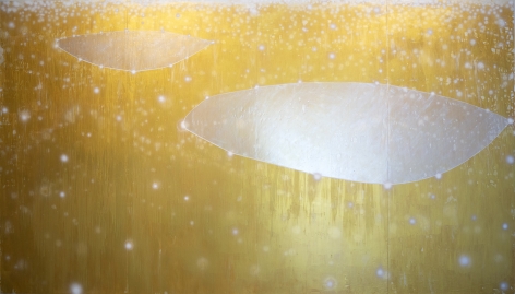 Katsumi Hayakawa Phenomenon, 2019 effect pigments, acrylic medium on washi mounted on wood panel 71 x 126 inches