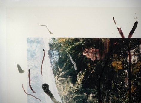 Rebecca Horn  Detail of Untitled, 2001  c-print of hand painted photograph  39 3/8 x 27 7/8 inches  Edition of 15  $5,000