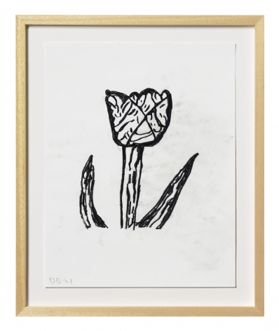 Donald Baechler Flower, 2021 graphite on Strathmore Archival Bond paper paper: 14 x 11 inches frame: 17 5/16 x 14 1/4 inches