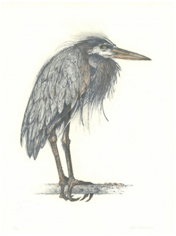 John Alexander Angry Heron, 2000 color lithograph 29 1/2 x 21 5/8 inches Edition of 35 signed bottom right front; numbered bottom left front