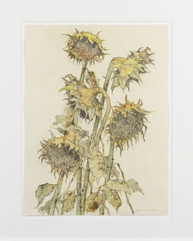 John Alexander Sunflowers, Light Autumn, 2012 monotype from steel and aluminum plates with hand-coloring paper: 23 x 17 3/4 inches frame: 31 x 25 1/4 inches (JoA-167)