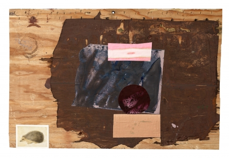 Shane Tolbert Personality Test, 2019 acrylic and postcard on found supports 25 1/4 x 38 inches