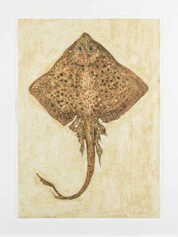 John Alexander Tan Skate, 2012 monotype from steel and aluminum plates with hand-coloring paper: 36 x 25 1/2 inches frame: 43 1/2 x 33 inches signed bottom right front (JoA-165) $15,000
