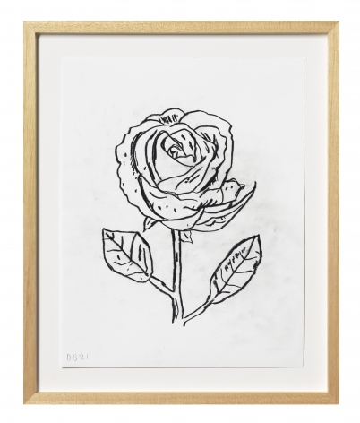 Donald Baechler Flower, 2021 graphite on Strathmore Archival Bond paper paper: 14 x 11 inches frame: 17 5/16 x 14 1/4 inches